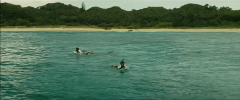 The Shallows. Plot summary and story structure. The Shark eats Rose's rescuers.